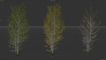 High quality Aspen tree 06