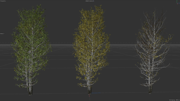 High quality Aspen tree 06