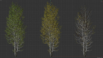 High quality Aspen tree 06