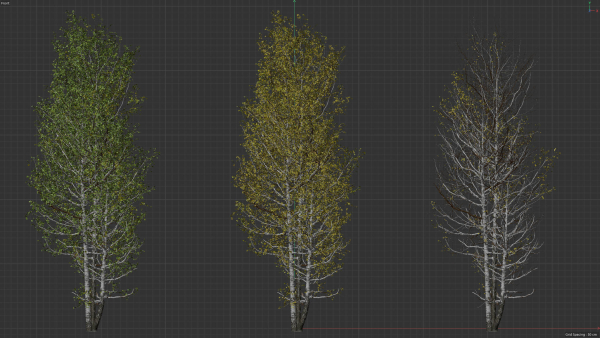 High quality Aspen tree 06