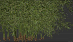 High Quality Bamboo Bush 01