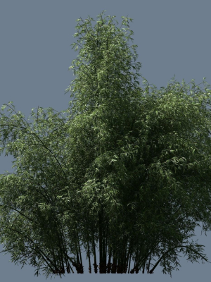 high-quality-bamboo-bush-02-3d-model-3a71362cc0