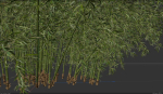 High Quality Bamboo Bush 02