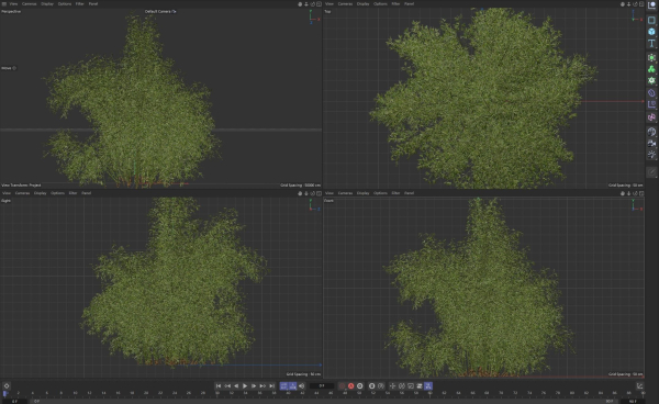 High Quality Bamboo Bush 03