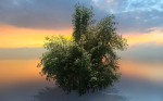 High Quality Bamboo Bush 03