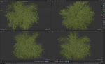 High Quality Bamboo Bush 05