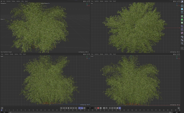 High Quality Bamboo Bush 05