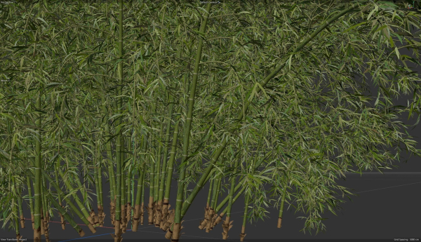 High Quality Bamboo Bush 05
