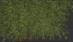 High Quality Bamboo Bush 07
