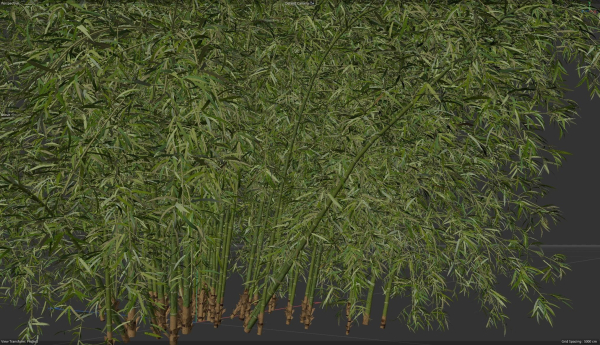 High Quality Bamboo Bush 07