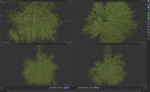High Quality Bamboo Bush 07