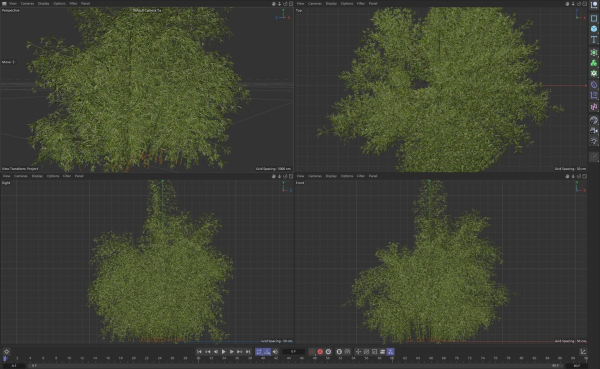 High Quality Bamboo Bush 07