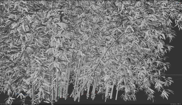 High Quality Bamboo Bush 07