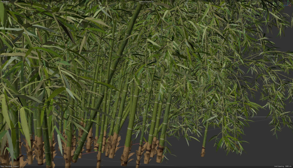 High Quality Bamboo Bush 08