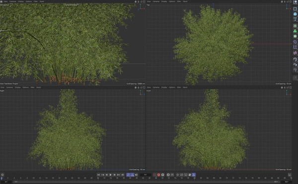 High Quality Bamboo Bush 08
