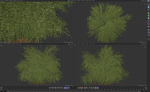 High Quality Bamboo Bush 09
