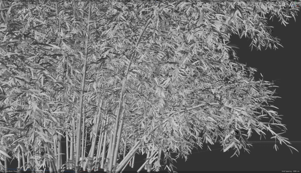 High Quality Bamboo Bush 09