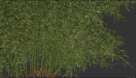 High Quality Bamboo Bush 09