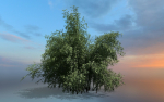 High Quality Bamboo Bush 09