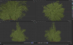 High Quality Bamboo Bush 10