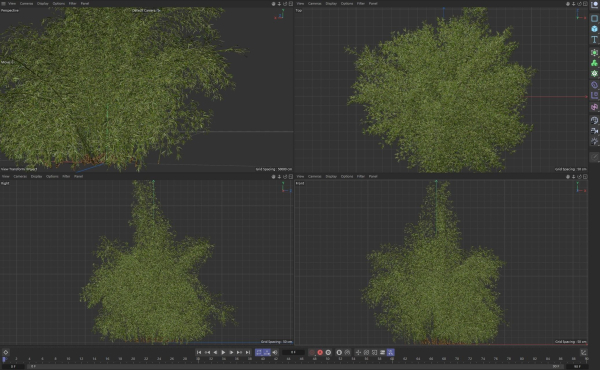 High Quality Bamboo Bush 10