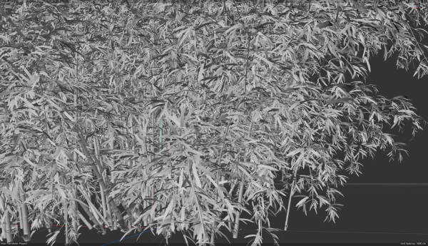 High Quality Bamboo Bush 10