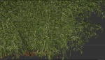 High Quality Bamboo Bush 10