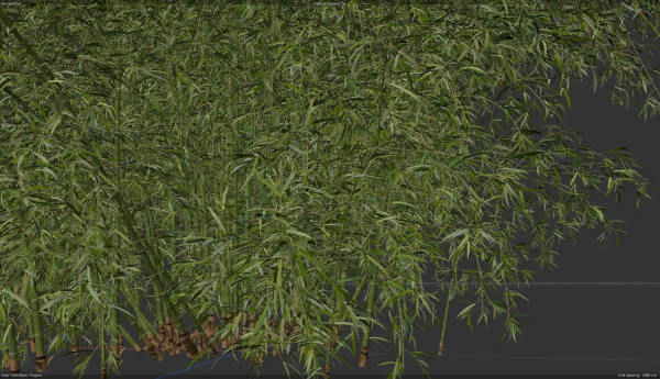 High Quality Bamboo Bush 10
