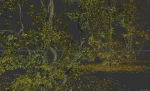 High Quality Forest Elm Tree 05