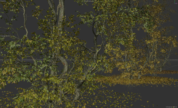High Quality Forest Elm Tree 05