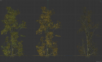 High Quality Forest Elm Tree 05
