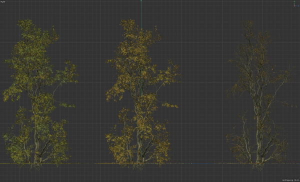 High Quality Forest Elm Tree 05