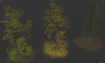 High Quality Forest Elm Tree 05