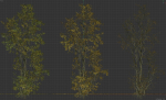 High Quality Forest Elm Tree 05