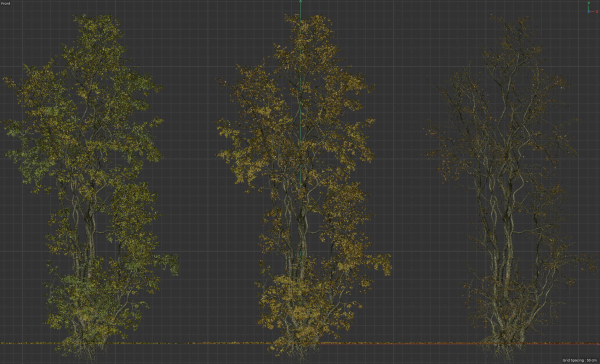 High Quality Forest Elm Tree 05