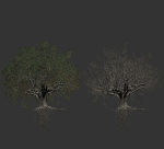 High quality Large banyan tree 03
