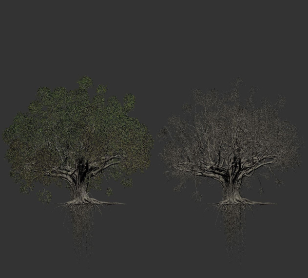 High quality Large banyan tree 03