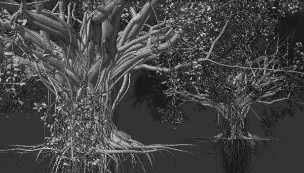 High quality Large banyan tree 03