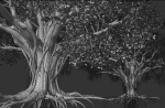 High quality Large banyan tree 04