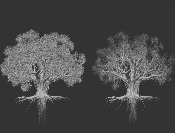 High quality Large banyan tree 04