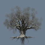 High quality Large banyan tree 04
