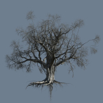 High quality Large banyan tree 06