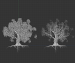 High quality Large banyan tree 06