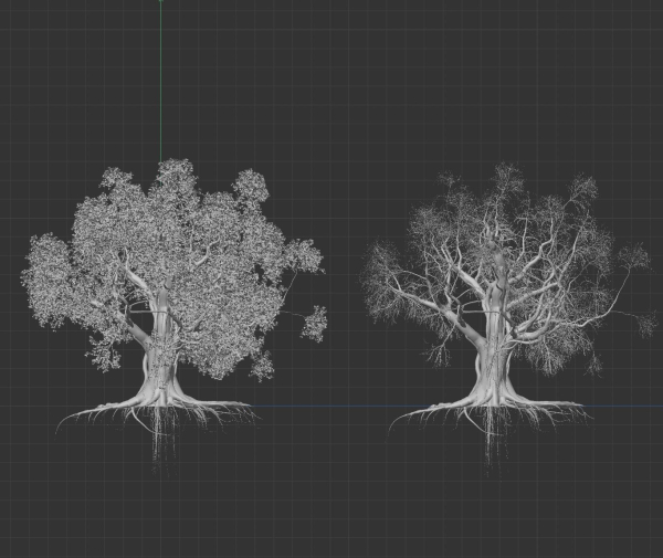High quality Large banyan tree 06