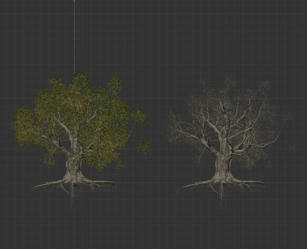 High quality Large banyan tree 06
