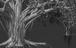 High quality Large banyan tree 08