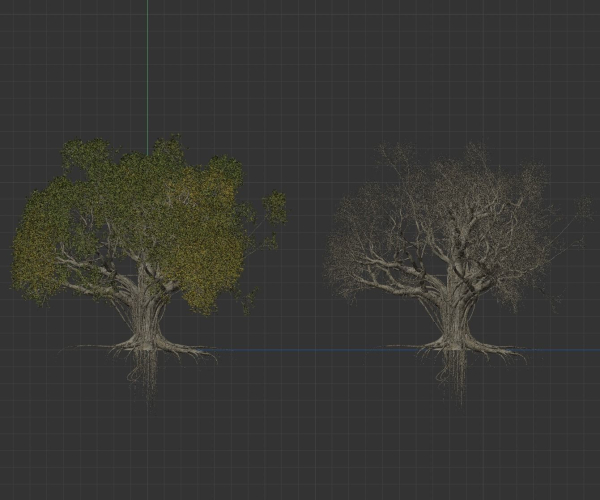 High quality Large banyan tree 08