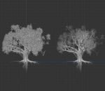 High quality Large banyan tree 08