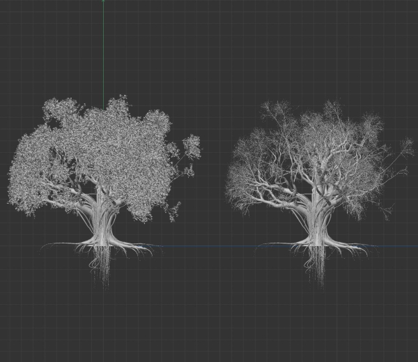 High quality Large banyan tree 08