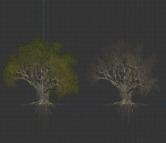 High quality Large banyan tree 09